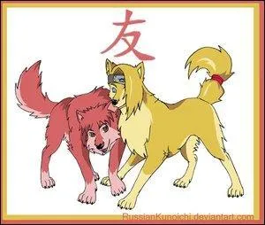 Le dernier binme de l'akatsuki :