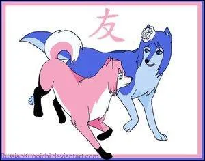 Mais pas la fin de l'akatsuki. Maintenant, un villageois de Konoha avec un membre de l'organisation :