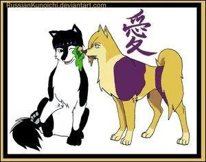 Un que l'on ne voit que dans les shippudens, l'autre que l'on voit dans les shippudens et dans les normaux :