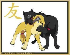 On revient avec l'akatsuki :