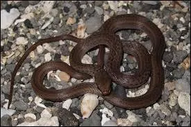 Quel est son code départemental ?