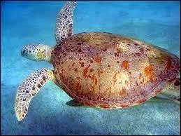 Comment s'appelle son préfet ? (2015)