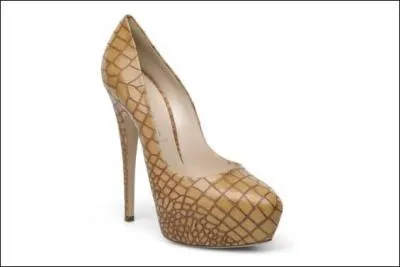 Ces escarpins sont beaucoup plus imposants ! Quelle est cette marque ?