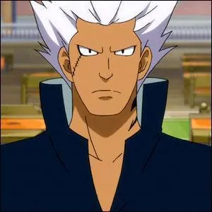 Elfman Strauss est un mage qui utilise la magie...