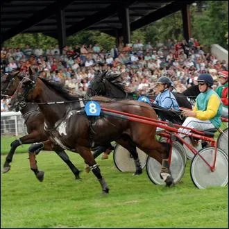 Quel genre inhabituel de course pourrez-vous voir à l'hippodrome de la Roche-Posay ce week-end ?