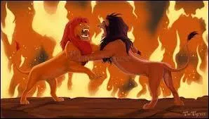 Déclencher de violentes réactions, c'est "Irriter les".