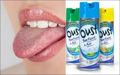 De quel crustacé s'agit-il ?