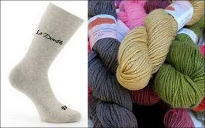 De quel mammifère s'agit-il ?