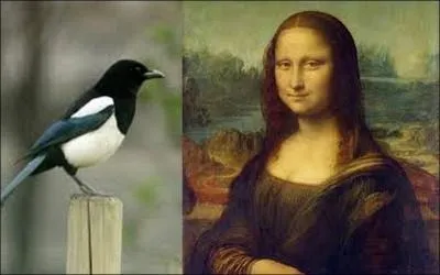 De quel mollusque s'agit-il ?