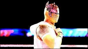 Comment s'appelle ce voltigeur ?