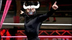 Comment s'appelle ce petit voltigeur ?