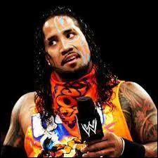 Comment s'appelle ce voltigeur ?