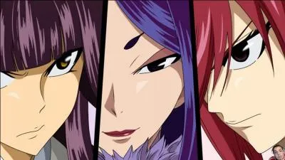 Erza Kagura et Minerva sont maintenant amies.