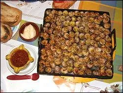 Plein d'escargots grillés à la braise et à déguster avec un bon « allioli » (aïoli)  :