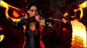 Qui en est le chef ?