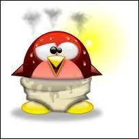 Avoir des coups de soleil, c'est "être rouge comme...".