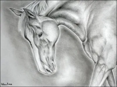 Un cheval a peur d'un nouvel objet. Qu'est-il préférable de faire ?