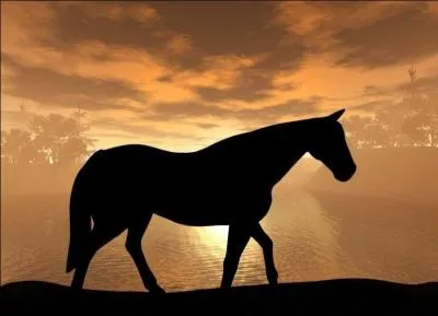 Comment effectuer le trot enlevé ?