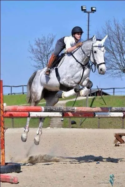 Quel est le plus grand obstacle sauté par un cheval ?
