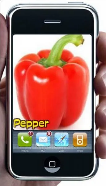 Quelle est la bonne réponse ?