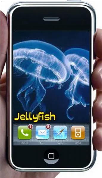 Quelle est la bonne réponse ?