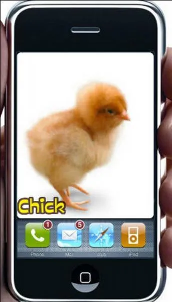 Quelle est la bonne réponse ?