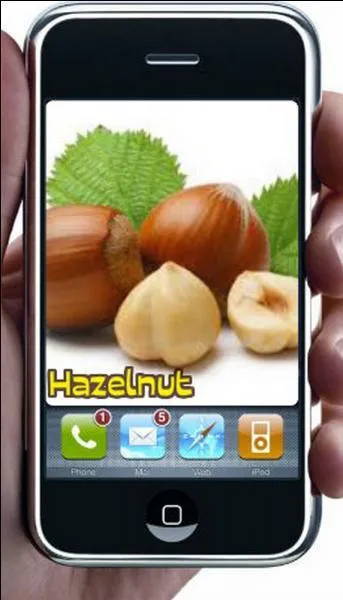 Quelle est la bonne réponse ?