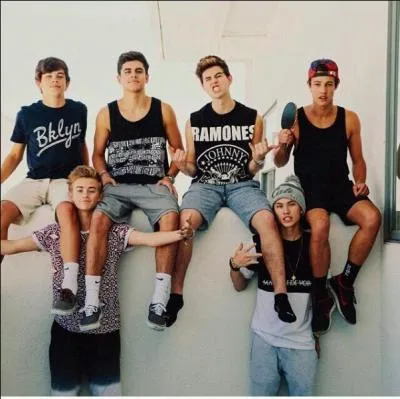 Qui sont les chanteurs du groupe dont il faisait partie ?