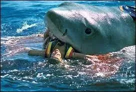 En quelle année est sorti en salle le premier opus de la saga "Les Dents de la mer", réalisé par Steven Spielberg ?