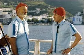 Dans "La Vie aquatique", long-métrage américain de 2004, quel acteur incarne l'océanographe Steve Zissou, personnage principal du film ?