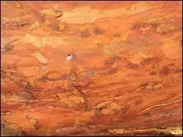 Suivant dans la liste des anagrammes, le mot "écru". Ce mot fait référence entre autres à une couleur. Si vous faites attention, vous remarquerez que sous les questions, un encadré de couleur est présent. Est-ce que la couleur écrue est plus proche de celle de la question 6 ou celle de la question 7 ?