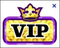 Comment fait-on pour être VIP ?