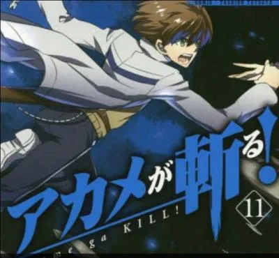 Comment s'appelle l'arme de Tatsumi ?