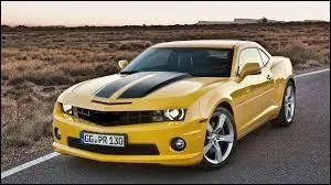 Quelle est la marque et le modèle de l'automobile sur l'image ?