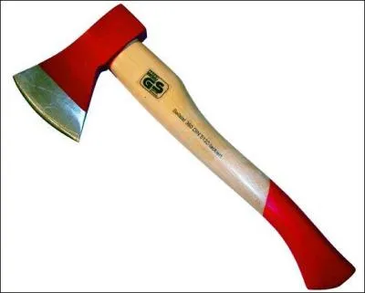 En 2005, quelle chanteuse voulait qu'on lui taille les hanches &agrave; la hache ?