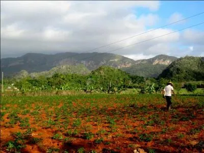 Que vous dit un cubain s'il vous dit des "piropos" ?