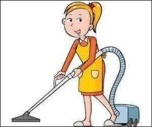 "Une femme de ménage".
Y a-t-il un pléonasme ou une précision inutile dans cette phrase ?