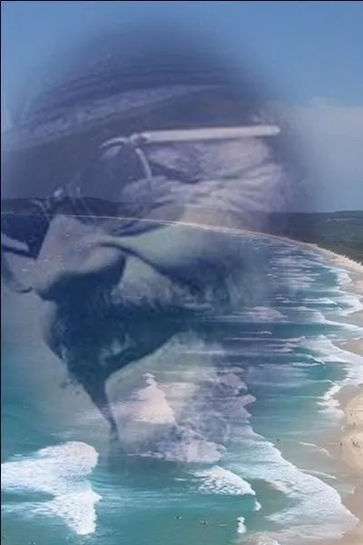 Quel est le titre de cette chanson ?