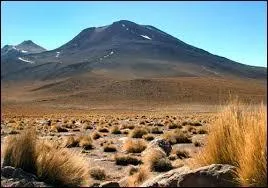 Parmi ces déserts, lequel ne se situe pas sur le continent sud-américain ?