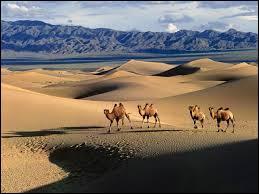 Localisé en Asie, le désert de Gobi est une vaste région désertique couvrant plus d'un million de km2 de superficie. Ce désert se situe :
