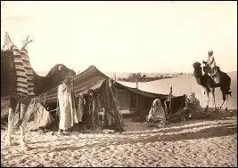 Lequel de ces peuples n'appartient pas aux diverses tribus nomades du désert d'Afrique du Nord ?