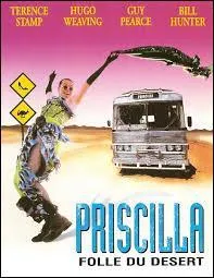Où se déroule l'action du film "Priscilla, folle du désert", sorti en 1994 ?
