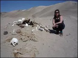 Aux Etats-Unis, on raconte que beaucoup de cadavres seraient enterrés dans le désert, suite à des règlements de compte mafieux ou autres noirs desseins visant à se débarrasser de "personnes encombrantes"... Cela se passerait dans le désert :