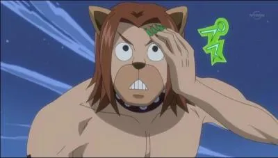 Comment Toby perd-il contre Natsu ?