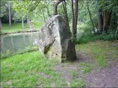 Passons à mon histoire. Occupé de façon certaine dès le néolithique, par des découvertes en divers points de mon territoire, dans quelle forêt à l'orée de la ville de Brunoy, peut-on admirer l'élévation de menhirs ? (Photo d'un de ces menhirs).