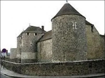 Servant de frontière, à l'époque gauloise, avec les Parisii au nord, des Carnutes au sud-ouest et des Sénons au sud-est, des villes virent le jour et commencèrent à se démarquer. C'est le cas de Dourdan, qui devint réputée dans quelle activité ? (Photo du château de cette ville).