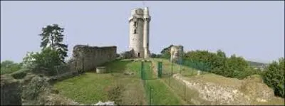 Au VIIIe siècle, la plupart de mon territoire intègre le domaine royal français. Commence alors au Xe siècle, la construction de nombreux châteaux forts comme celui de Montlhéry, qui permet de contrôler les routes commerciales et d'arrêter les raids incessants d'un peuple scandinave, lequel ? (Ruines de ce château, dont il ne reste plus aujourd'hui que cette tour).