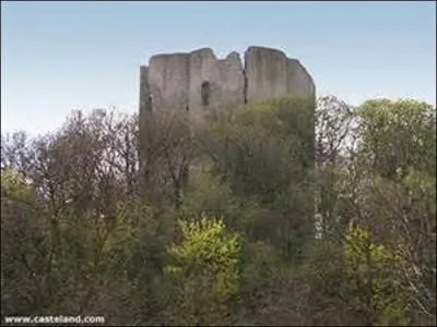 Je compte aussi deux sous-préfectures : Palaiseau et ...(Photo de son château).