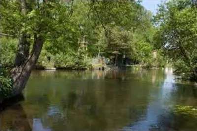 Je dois mon nom à la rivière qui me traverse. Prenant sa source dans le village de La Neuville-sur-Éssonne, situé dans le Loiret, longue de 97, 1 km, cette dernière est un affluent de la rive gauche de la Seine. Mais à hauteur de quelle ville se jette-t-elle dans ce fleuve ?