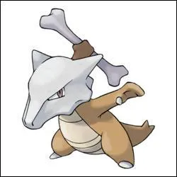 Quel est ce Pokémon ?